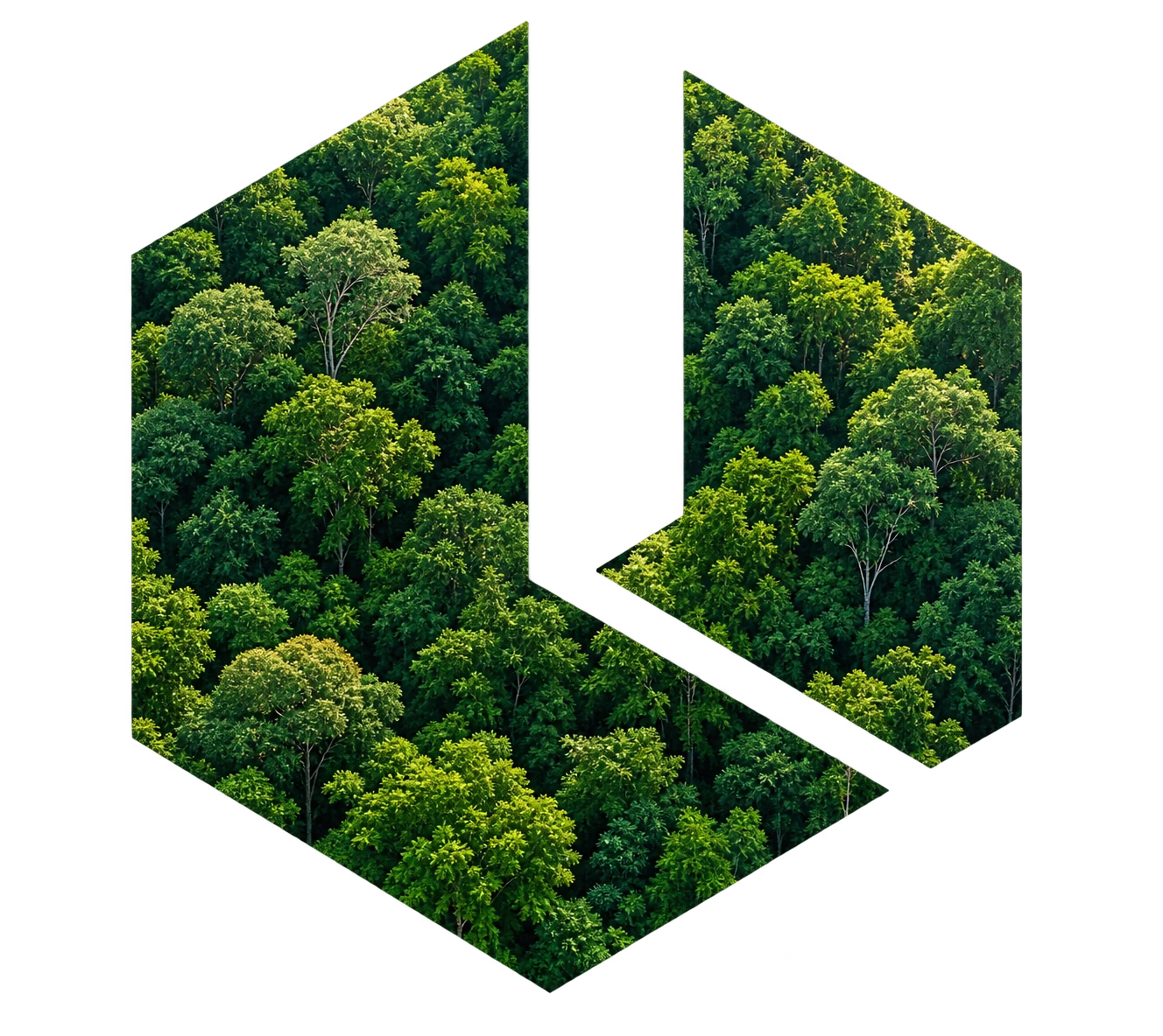 Sustentabilidade LUBECK - Polígono Florestal